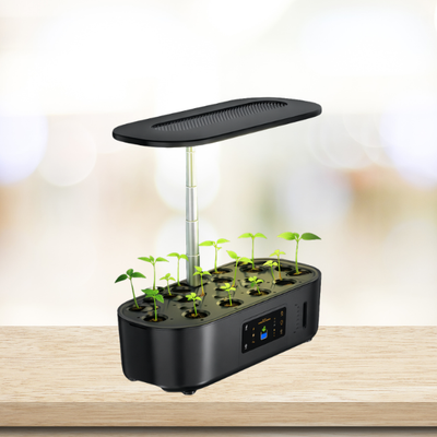 Week 1: Seed Germination